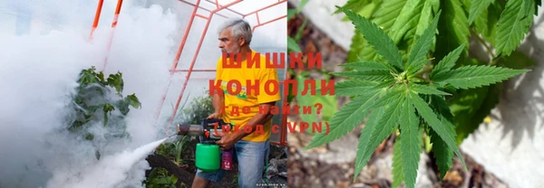 Альфа ПВП Верея