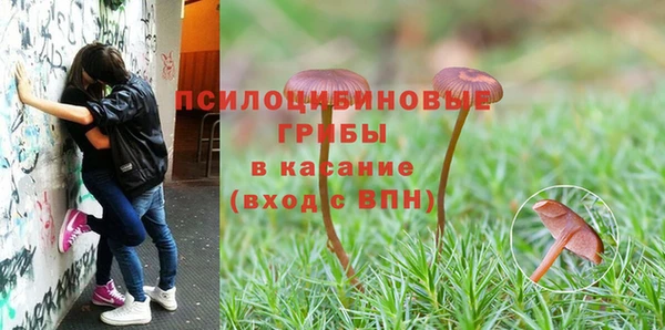 соль курить ск Волосово